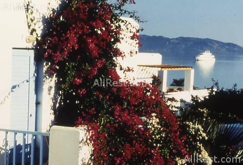 Astir of Paros 1